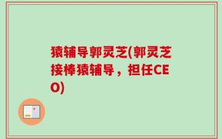 猿辅导郭灵芝(郭灵芝接棒猿辅导，担任CEO)