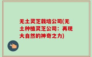 无土灵芝栽培公司(无土种植灵芝公司：再现大自然的神奇之力)
