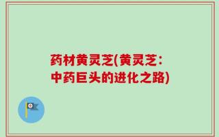 药材黄灵芝(黄灵芝：中药巨头的进化之路)