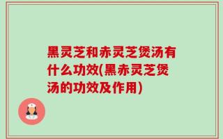 黑灵芝和赤灵芝煲汤有什么功效(黑赤灵芝煲汤的功效及作用)
