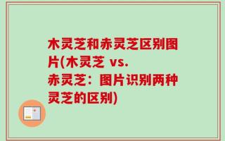 木灵芝和赤灵芝区别图片(木灵芝 vs. 赤灵芝：图片识别两种灵芝的区别)