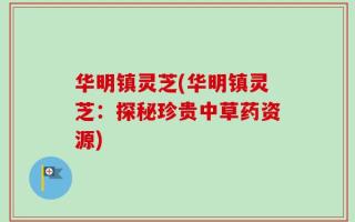华明镇灵芝(华明镇灵芝：探秘珍贵中草药资源)