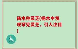 杨木种灵芝(杨木中发现罕见灵芝，引人注目)