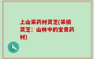 上山采药材灵芝(采摘灵芝：山林中的宝贵药材)