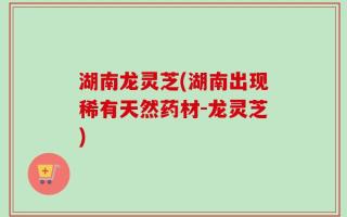 湖南龙灵芝(湖南出现稀有天然药材-龙灵芝)