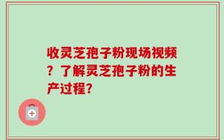 收灵芝孢子粉现场视频？了解灵芝孢子粉的生产过程？