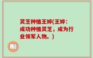 灵芝种植王婷(王婷：成功种植灵芝，成为行业领军人物。)