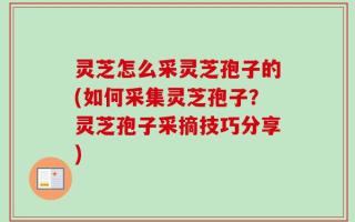 灵芝怎么采灵芝孢子的(如何采集灵芝孢子？灵芝孢子采摘技巧分享)
