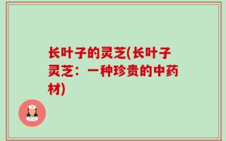 长叶子的灵芝(长叶子灵芝：一种珍贵的中药材)
