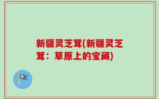 新疆灵芝茸(新疆灵芝茸：草原上的宝藏)