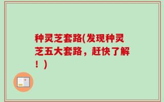 种灵芝套路(发现种灵芝五大套路，赶快了解！)