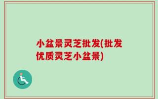 小盆景灵芝批发(批发优质灵芝小盆景)