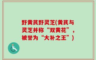 野黄芪野灵芝(黄芪与灵芝并称“双黄花”，被誉为“大补之王”)