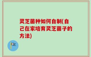 灵芝菌种如何自制(自己在家培育灵芝菌子的方法)