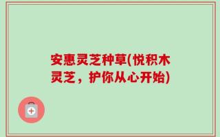 安惠灵芝种草(悦积木灵芝，护你从心开始)