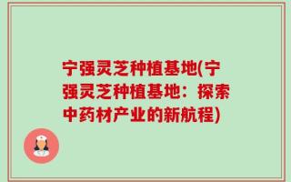 宁强灵芝种植基地(宁强灵芝种植基地：探索中药材产业的新航程)