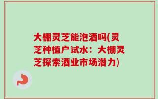 大棚灵芝能泡酒吗(灵芝种植户试水：大棚灵芝探索酒业市场潜力)