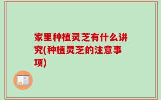 家里种植灵芝有什么讲究(种植灵芝的注意事项)