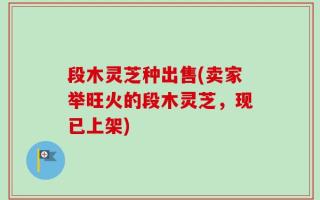 段木灵芝种出售(卖家举旺火的段木灵芝，现已上架)