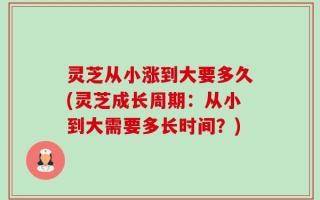 灵芝从小涨到大要多久(灵芝成长周期：从小到大需要多长时间？)