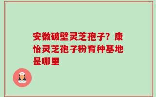 安徽破壁灵芝孢子？康怡灵芝孢子粉育种基地是哪里