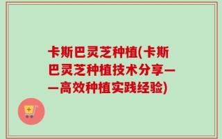 卡斯巴灵芝种植(卡斯巴灵芝种植技术分享——高效种植实践经验)