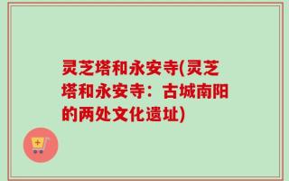 灵芝塔和永安寺(灵芝塔和永安寺：古城南阳的两处文化遗址)