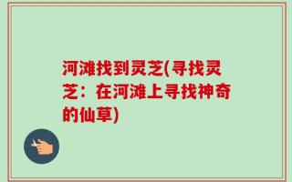 河滩找到灵芝(寻找灵芝：在河滩上寻找神奇的仙草)