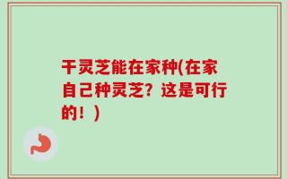干灵芝能在家种(在家自己种灵芝？这是可行的！)
