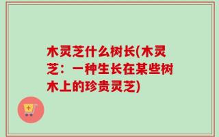 木灵芝什么树长(木灵芝：一种生长在某些树木上的珍贵灵芝)