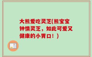 大熊爱吃灵芝(熊宝宝钟情灵芝，如此可爱又健康的小胃口！)
