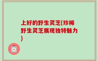 上好的野生灵芝(珍稀野生灵芝展现独特魅力)
