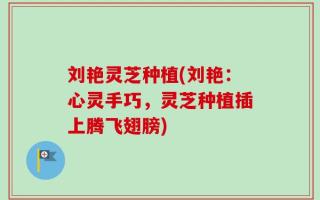 刘艳灵芝种植(刘艳：心灵手巧，灵芝种植插上腾飞翅膀)