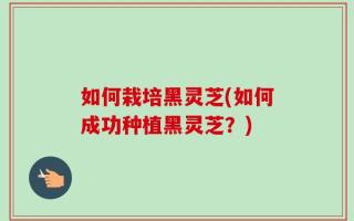 如何栽培黑灵芝(如何成功种植黑灵芝？)