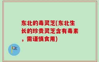 东北的毒灵芝(东北生长的珍贵灵芝含有毒素，需谨慎食用)