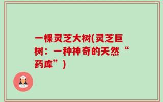 一棵灵芝大树(灵芝巨树：一种神奇的天然“药库”)