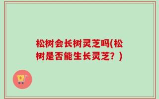 松树会长树灵芝吗(松树是否能生长灵芝？)