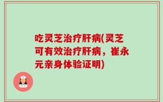 吃灵芝治疗肝病(灵芝可有效治疗肝病，崔永元亲身体验证明)