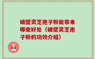 破壁灵芝孢子粉能带来哪些好处（破壁灵芝孢子粉的功效介绍）