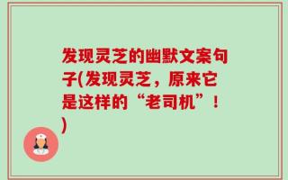 发现灵芝的幽默文案句子(发现灵芝，原来它是这样的“老司机”！)