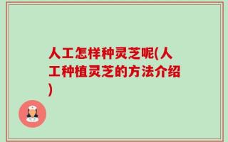 人工怎样种灵芝呢(人工种植灵芝的方法介绍)