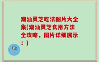 潮汕灵芝吃法图片大全集(潮汕灵芝食用方法全攻略，图片详细展示！)