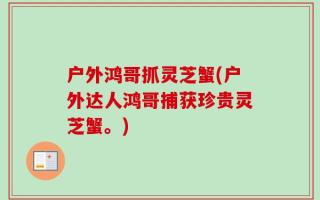 户外鸿哥抓灵芝蟹(户外达人鸿哥捕获珍贵灵芝蟹。)