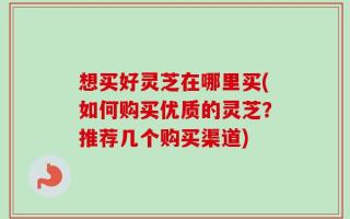 想买好灵芝在哪里买(如何购买优质的灵芝？推荐几个购买渠道)