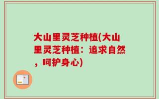 大山里灵芝种植(大山里灵芝种植：追求自然，呵护身心)