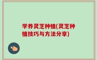 学养灵芝种植(灵芝种植技巧与方法分享)