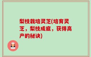 梨枝栽培灵芝(培育灵芝，梨枝成底，获得高产的秘诀)