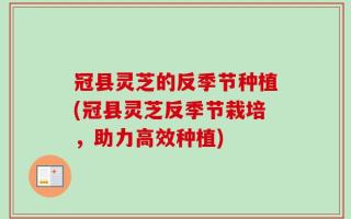 冠县灵芝的反季节种植(冠县灵芝反季节栽培，助力高效种植)