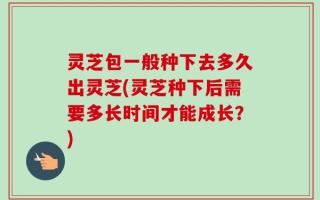 灵芝包一般种下去多久出灵芝(灵芝种下后需要多长时间才能成长？)