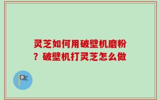 灵芝如何用破壁机磨粉？破壁机打灵芝怎么做